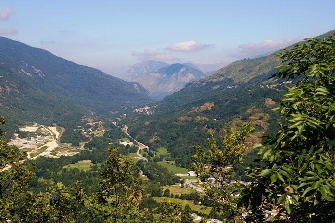 Coecilia