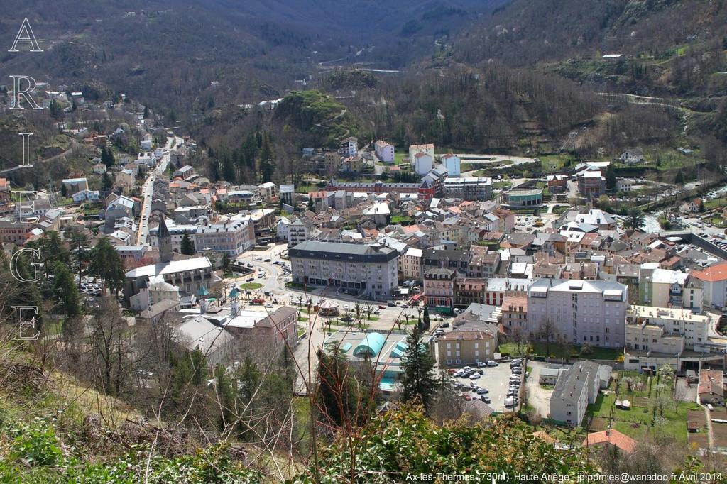 Coecilia